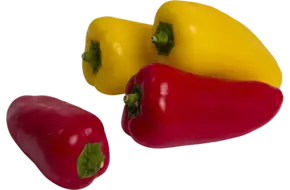 Sweetbite mini paprika rood-geel 1kg